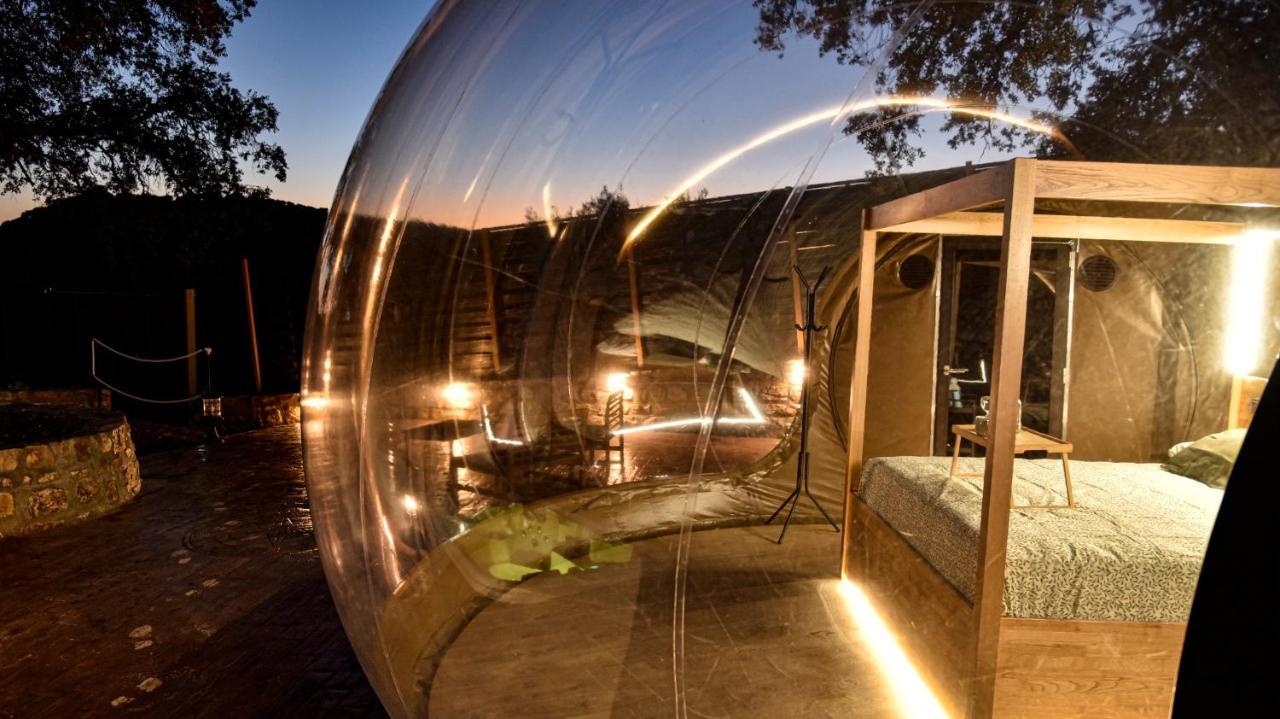 19 Bubble By Cortijo Colomo *